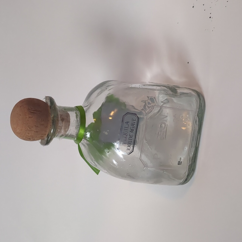 Empty patron bottle for crafts